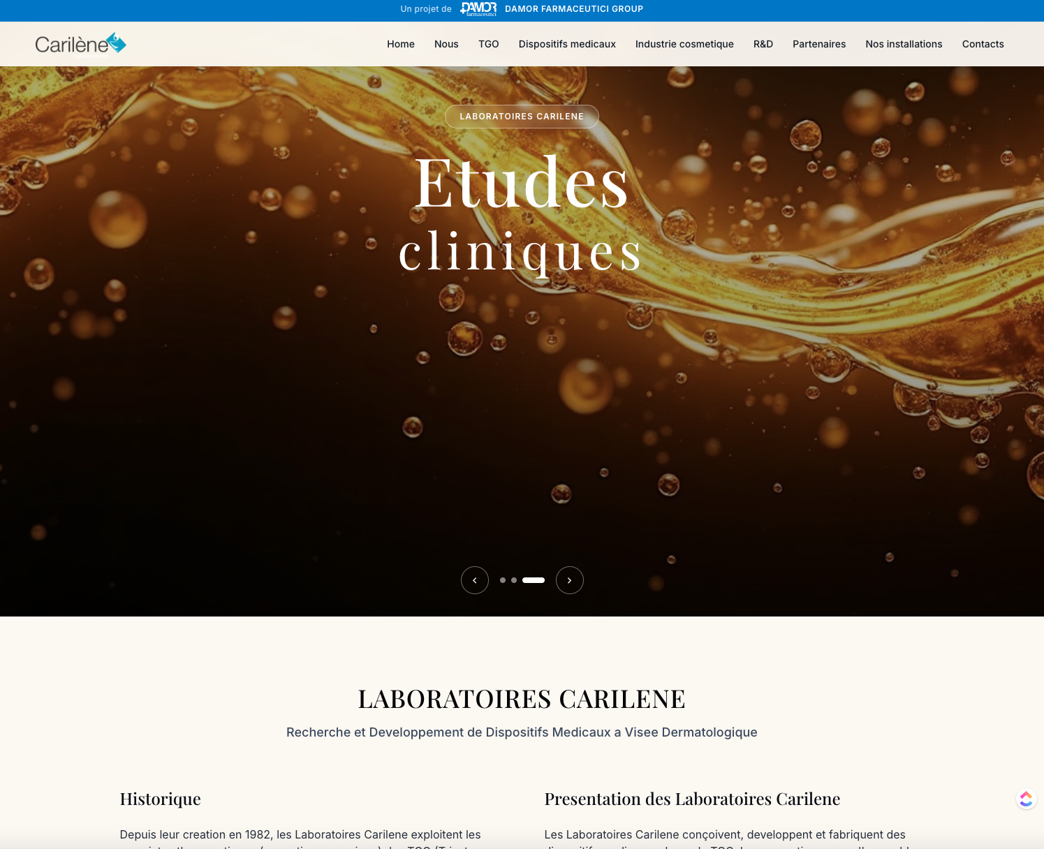 Mockup interattivo Carilène